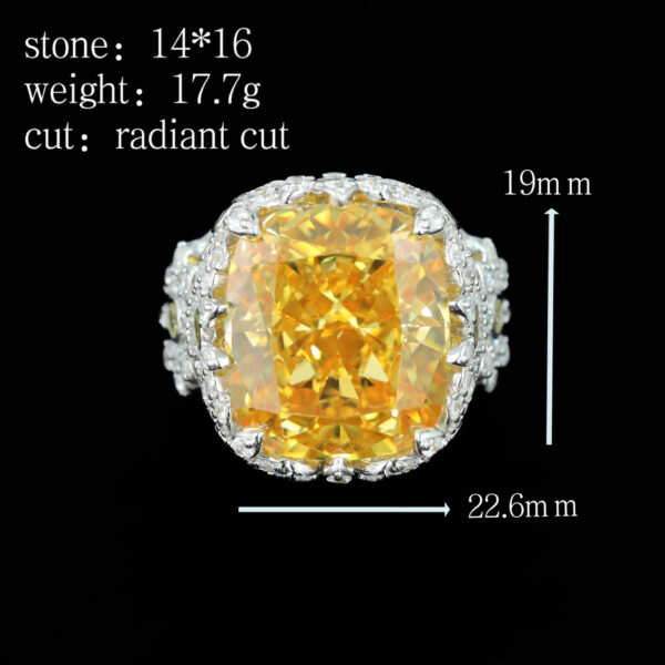 #268 Fashionable and high-end 925 silver niche design Daisy shape ladies' Ring - Image 3
