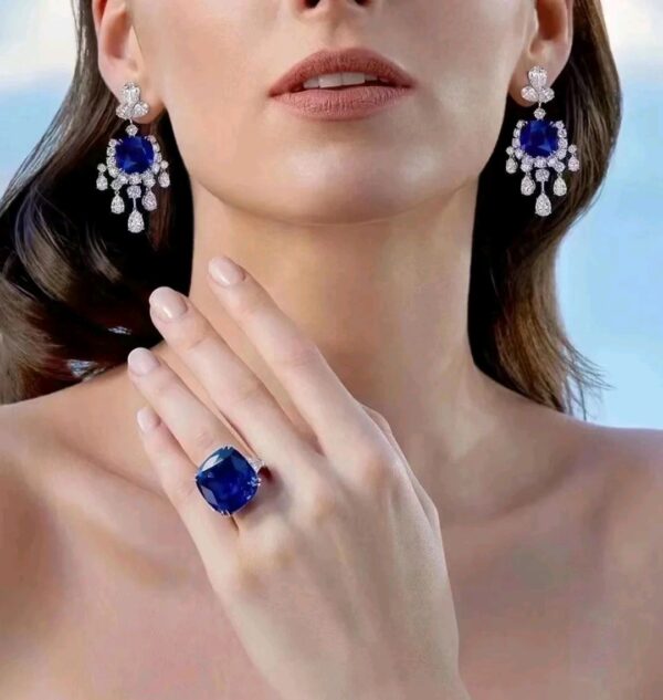 #250 Fashionable and high-end 925 silver niche design versatile girls' earrings - Image 4